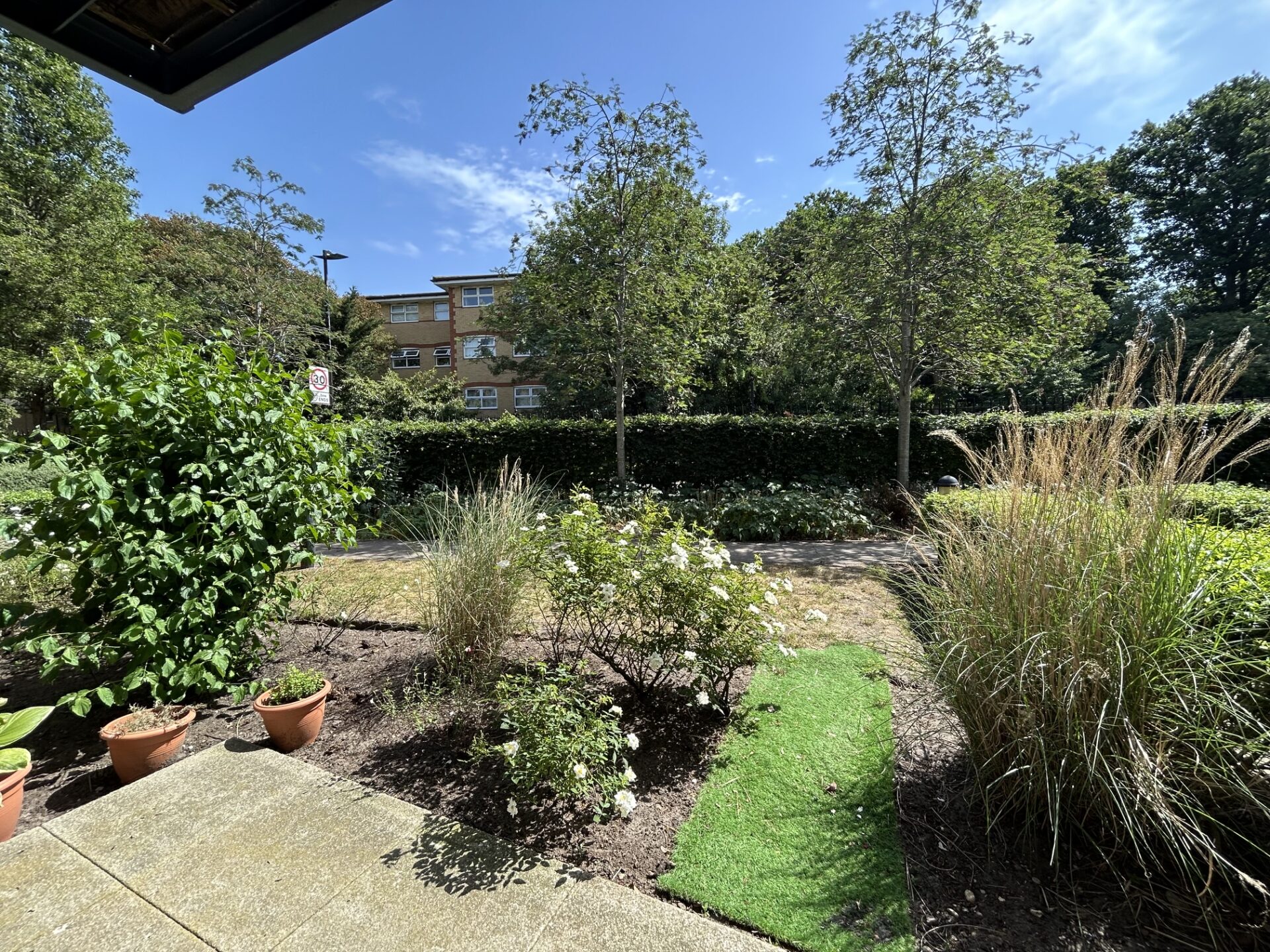 View from balcony